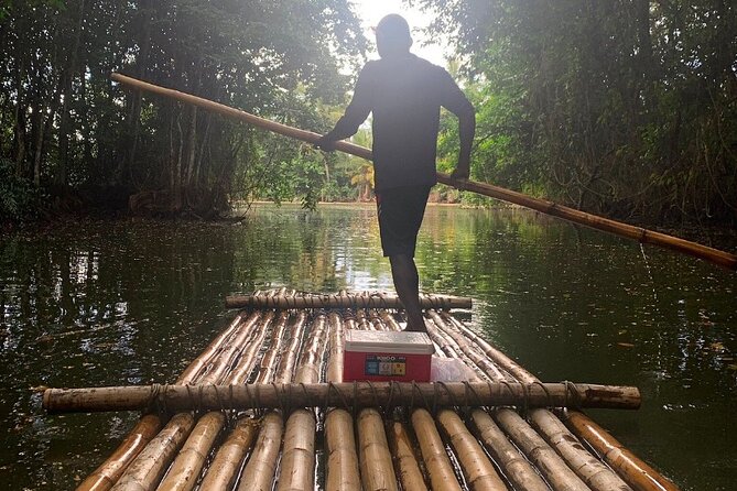 St Lucia Bamboo Rafting Experience (+Rum Tasting) - Why the mangrove section matters
