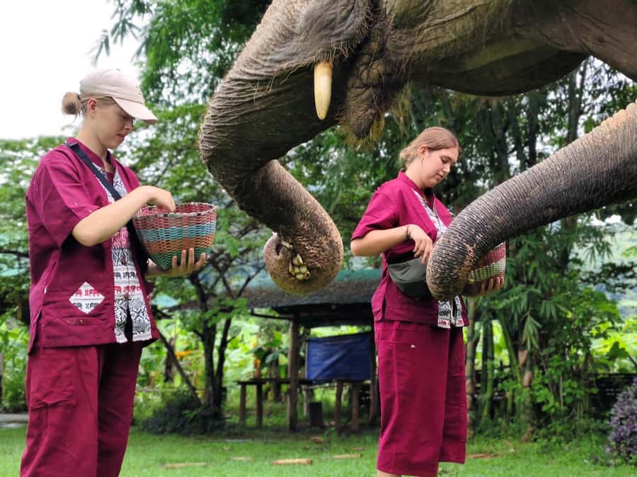 Sticky waterfalls- Elephants- Bamboo or White water rafting. - Key points at a glance