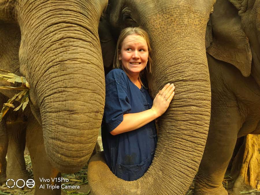 Sticky waterfalls- Elephants- Bamboo or White water rafting. - Who should book this Chiang Mai day trip?