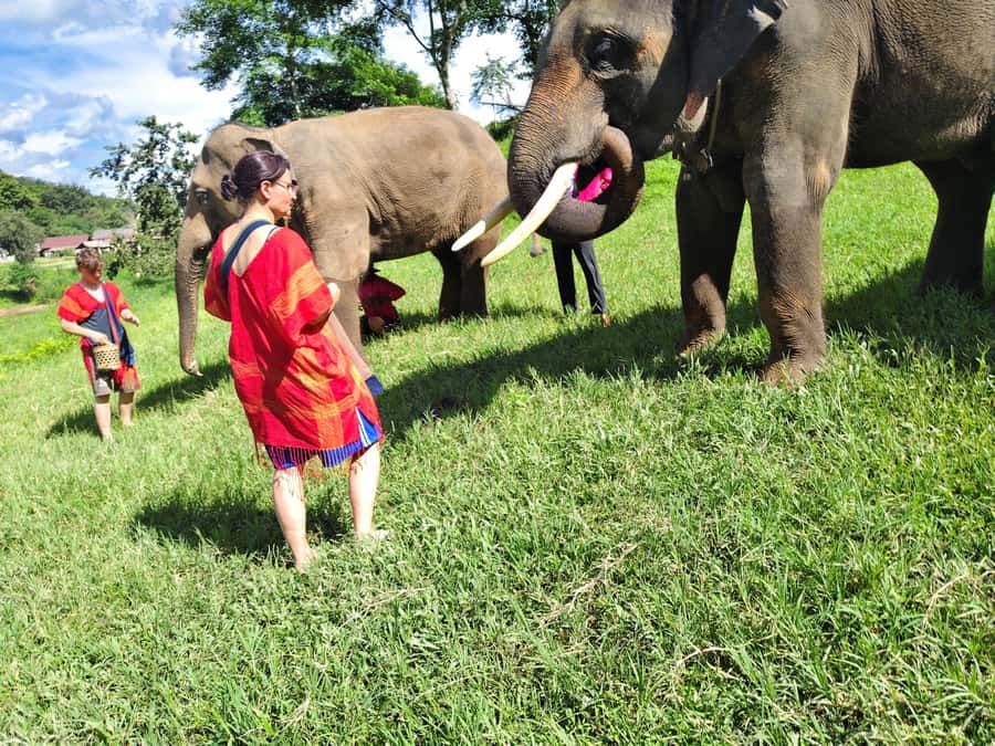 Sticky waterfalls- Elephants- Bamboo or White water rafting. - The drive into Mae Taeng District