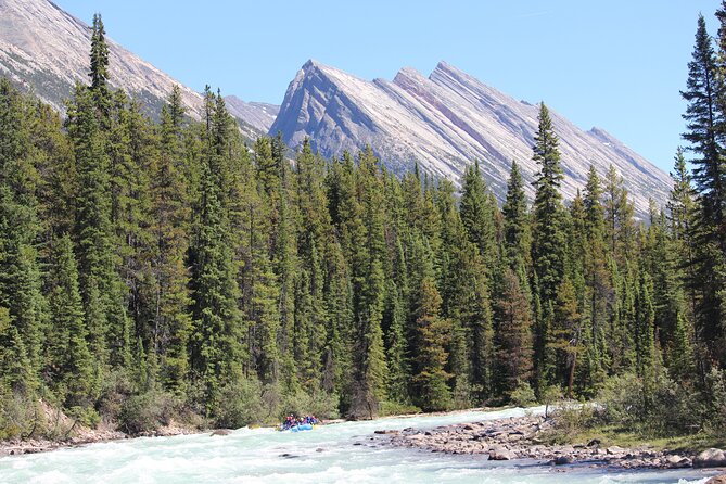 Sunwapta Challenge Whitewater Rafting: Class III Rapids - Jasper National Park from the water