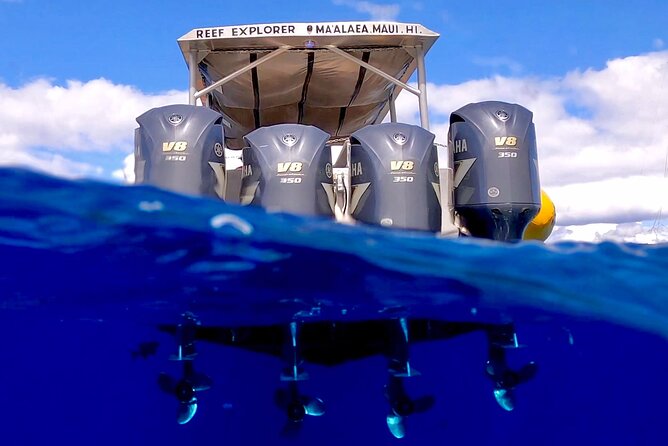 Super Raft - Private Charter Maui 3 Hour Snorkel to Coral Gardens or Molokini - Coral Gardens, Turtle Cove, and a flexible backup plan