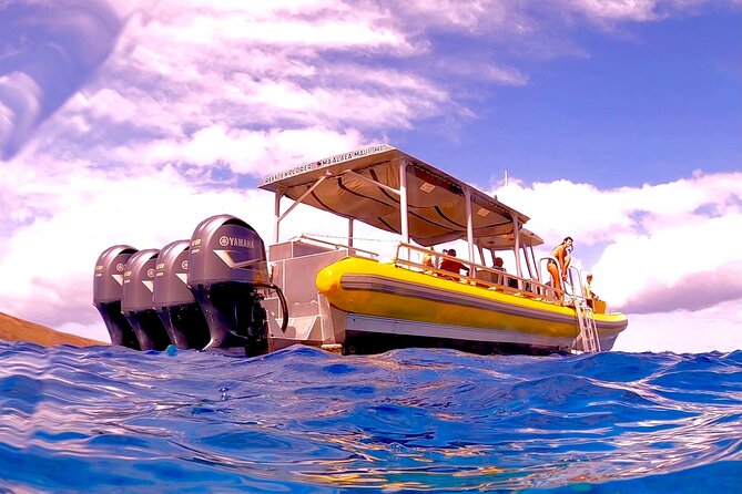 Super Raft - Private Charter Maui 3 Hour Snorkel to Coral Gardens or Molokini - What the crew does well in the water