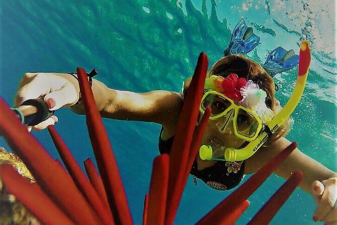 Super Raft - Private Charter Maui 3 Hour Snorkel to Coral Gardens or Molokini - Who gets the most value from the $2,866.67 price