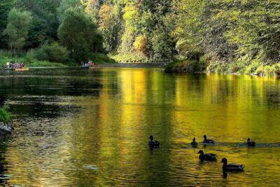 Tatra Mountains Zakopane and Panoramic Dunajec River Rafting