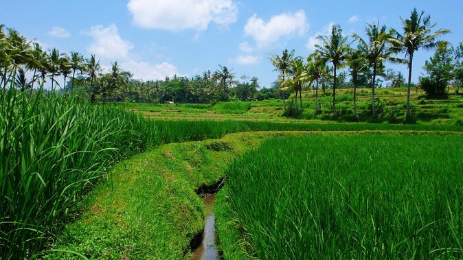 Telaga Waja Rafting and Bali Horse Riding Packages - Key Points Before You Book