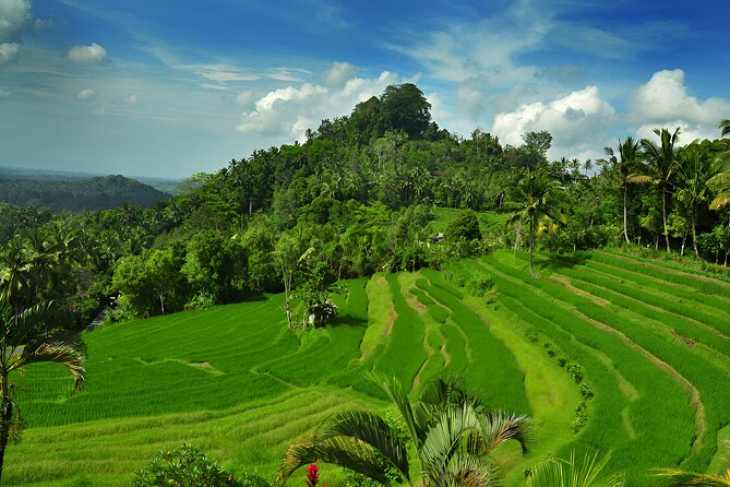 Telaga Waja White Water Rafting and Besakih Temple Tour - Kerta Gosa and the Painted Royal Court