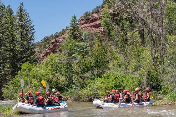 Telluride Afternoon Half Day Rafting Trip - San Miguel River - Key points about the San Miguel rafting trip