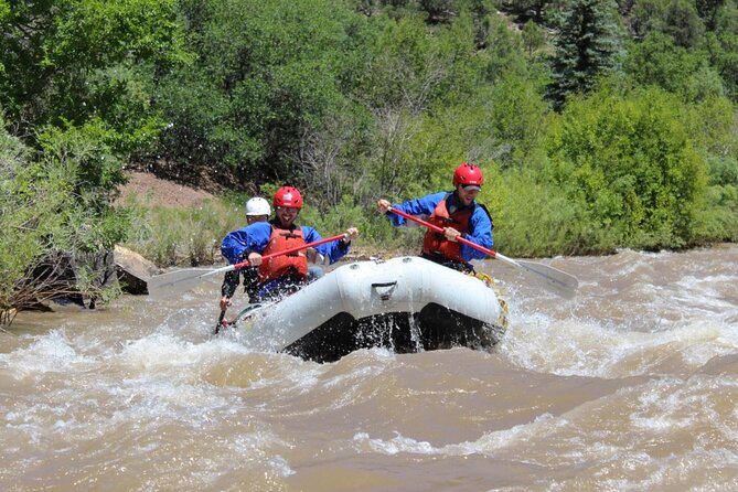 Telluride Afternoon Half Day Rafting Trip - San Miguel River - Starting at Caddis Flats Campgrounds