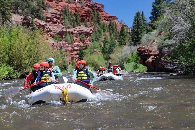 Telluride Morning Half Day Rafting Trip - San Miguel River - Key points before you book