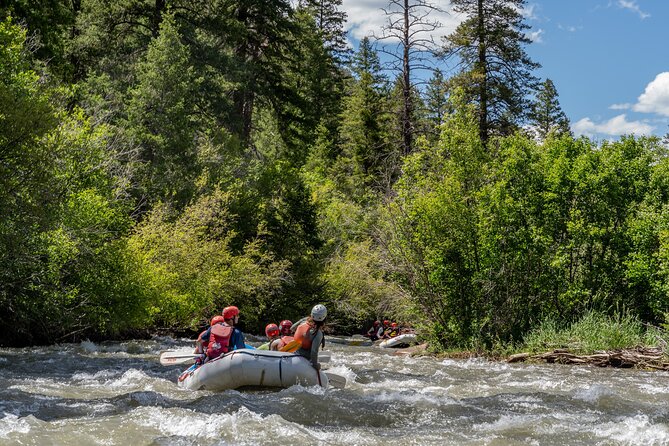 Telluride Morning Half Day Rafting Trip - San Miguel River - Meeting at Caddis Flats Campgrounds