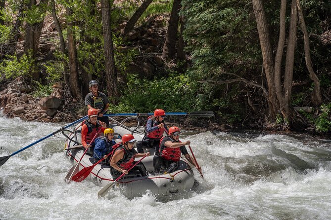 Telluride Morning Half Day Rafting Trip - San Miguel River - Guides who keep the ride safe and lively