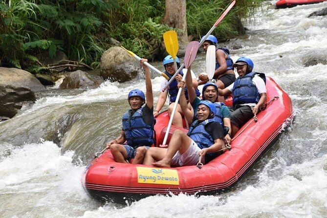 The Best Ayung River Rafting Adventure in Ubud - Paddling through grade II-III rapids