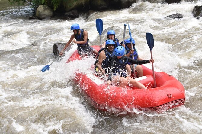 The Best Ayung River Rafting Adventure in Ubud - What the $50 price really covers