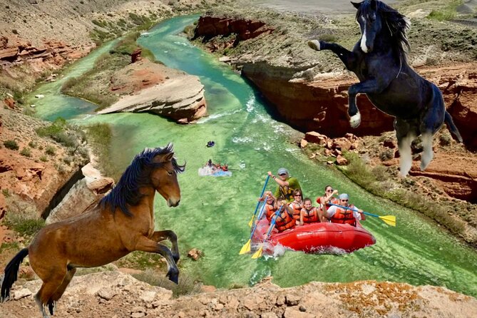The Cody Two-Step Wild Mustangs And Half Day Rafting Trip W/Lunch - Five things to know before you book