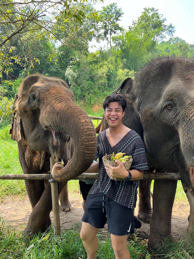 Trekking One Day+Bamboo Rafting+Jungle waterfall - Walking through rice fields for 90 minutes to two hours