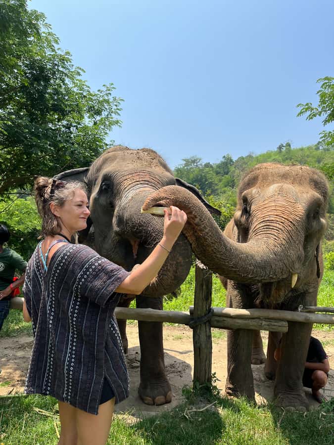 Trekking One Day+Bamboo Rafting+Jungle waterfall - Morning pick-up and the road to the elephant camp