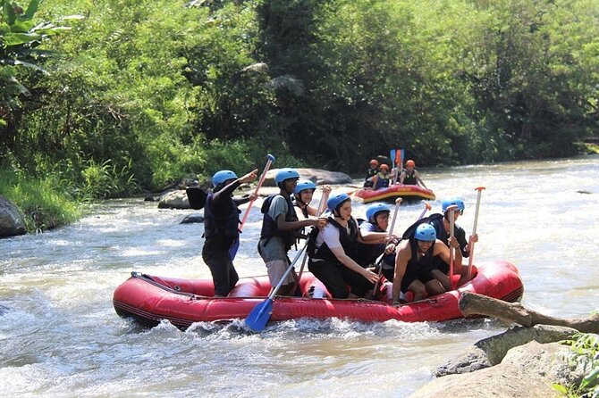 Ubud ATV Quad Bike with Ayung River Rafting Experience - Riding through rice fields, tunnels, and waterfalls