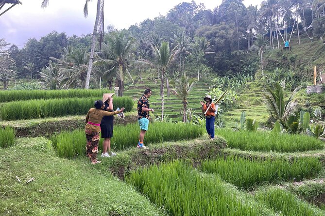 Ubud: ATV Rafting + Zipline, Swing, Sky Bike in Bali Rice Terrace - Timing, transport, and the shape of the day
