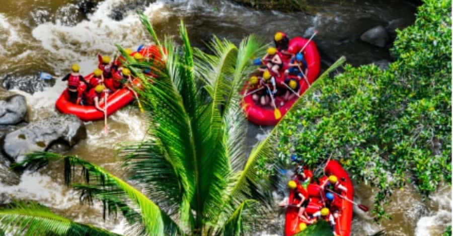 Ubud: Ayung River Rafting Adventure with Lunch and Transport - Why the Ayung River makes a good first rafting trip