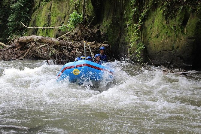 Ubud Ayung Water Rafting included Lunch and Transfer - What the two-hour rafting section feels like
