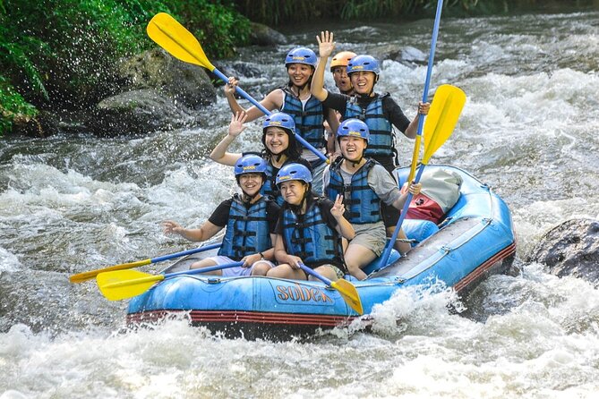 Ubud Ayung Water Rafting included Lunch and Transfer - Group size, atmosphere, and who will enjoy it