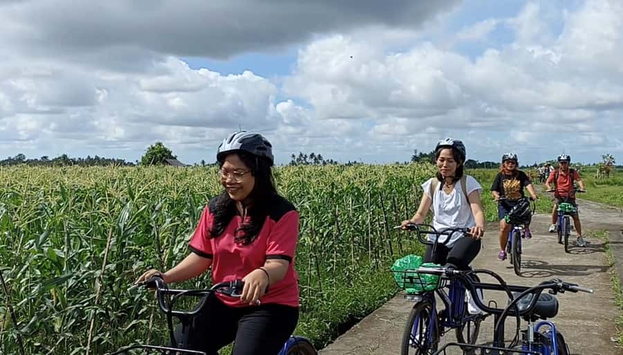 Ubud e-Bike Tour & Whitewater Rafting - Key points at a glance