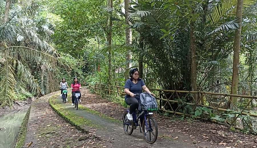 Ubud e-Bike Tour & Whitewater Rafting - Why this pairing works so well