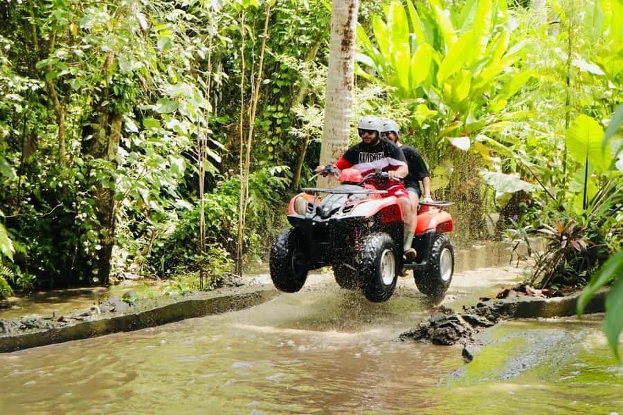 Ubud: Rice Teracces,Gorila Face ATV & Rafting - Coffee plantation and tasting