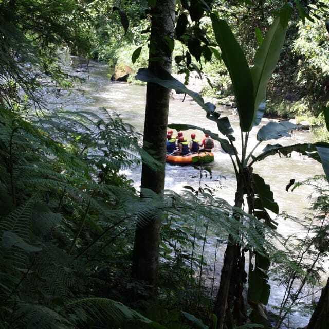 Ubud: White Water Rafting Adventure Tour - What the $61 price covers