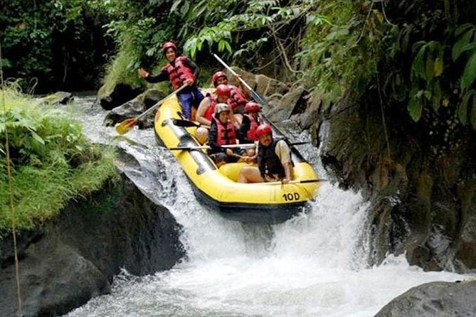 Ubud White Water Rafting on the Ayung River with Pickup & Lunch - Ayung River rafting at a glance