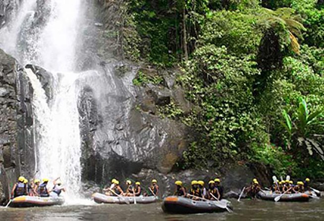 Ubud White Water Rafting on the Ayung River with Pickup & Lunch - A 12-kilometer run through Bali’s interior