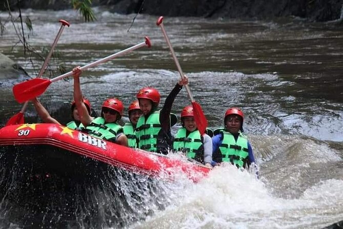 Ubud White Water Rafting on the Ayung River with Pickup & Lunch - Who should book this Ayung River trip?