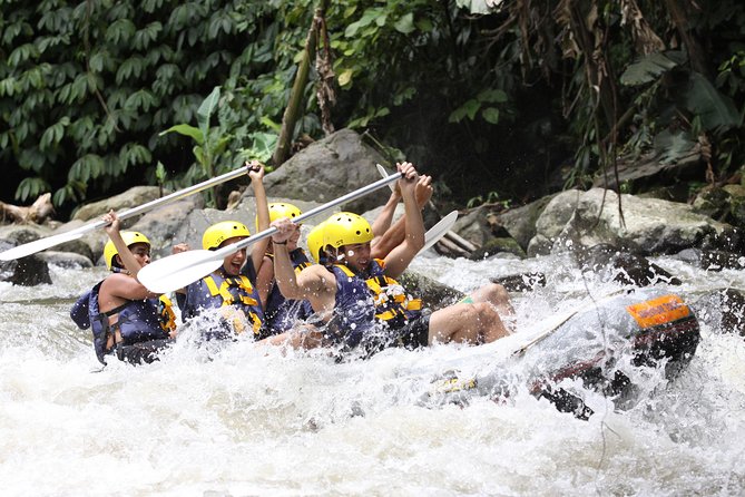Ubud White Water Rafting, Rice Terrace and Jungle Swing - What the $65 price really covers