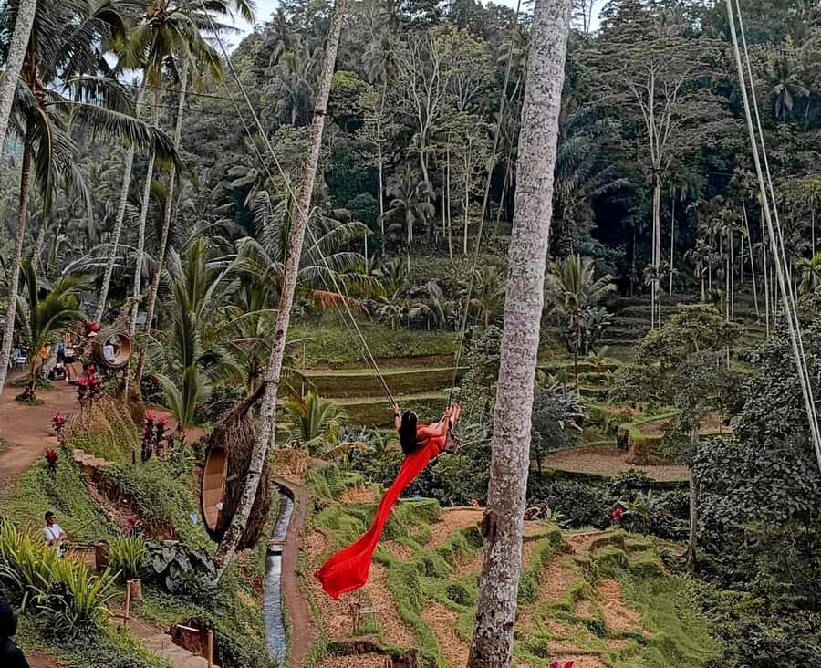 Ubud White Water Rafting with Lunch Included - What the Ayung River rafting experience is really like