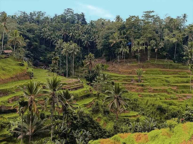 Ubud White Water Rafting with Lunch Included - Lunch after the river
