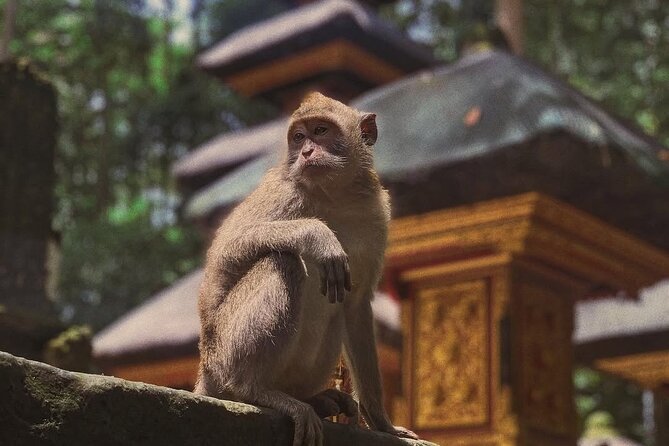 Ubud: White Water Rafting with visit Ubud Monkey Forest - Buffet lunch after the river
