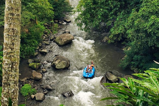 Ubud White Water Rafting with Waterfall and Lunch - What happens during the two-hour rafting run