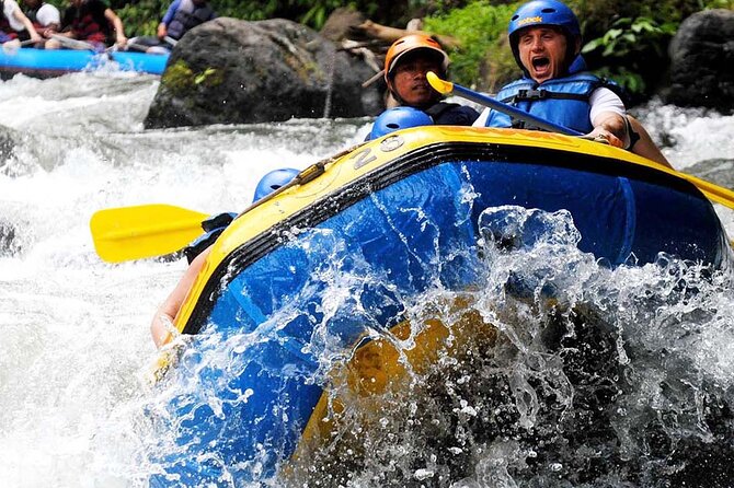 Ubud White Water Rafting with Waterfall and Lunch - Waterfalls, wildlife, and a chance to swim