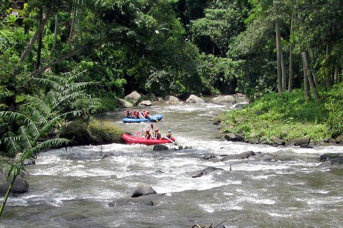 Ubud White Water Rafting with Waterfall and Lunch - Hotel pickup and the five-hour schedule