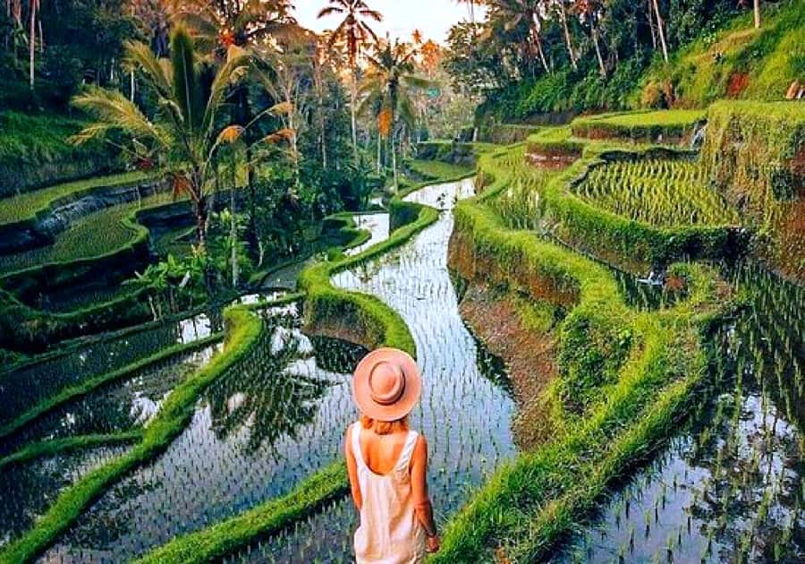 Ubud: Zip-line Adventure, River Rafting & Rice Terraces Tour - Guides, drivers, and the human side of the tour