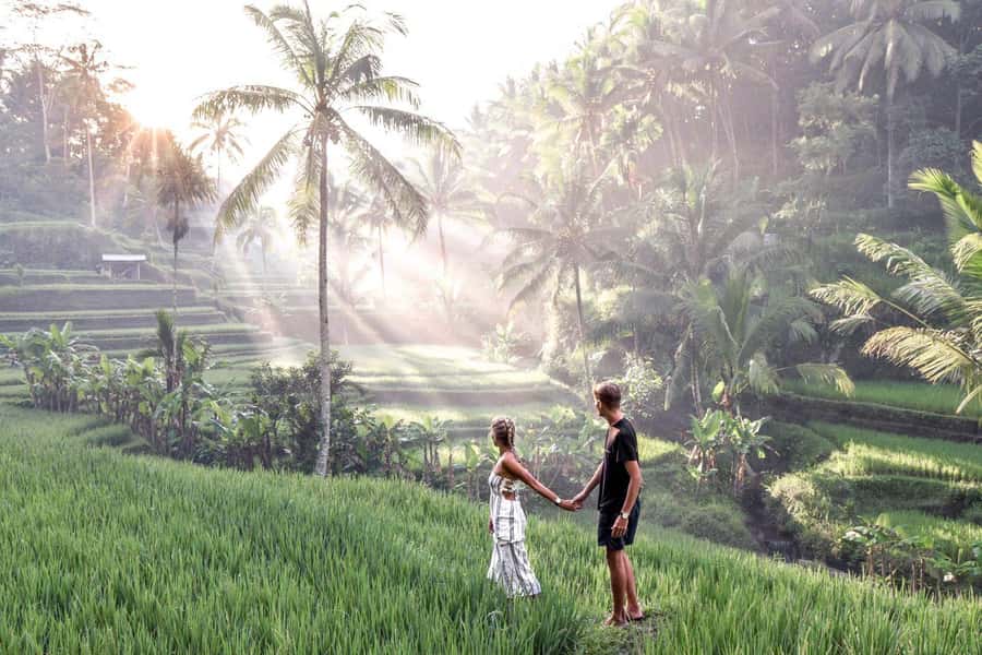Ubud: Zip-line Adventure, River Rafting & Rice Terraces Tour - Starting the day with the jungle zip-line