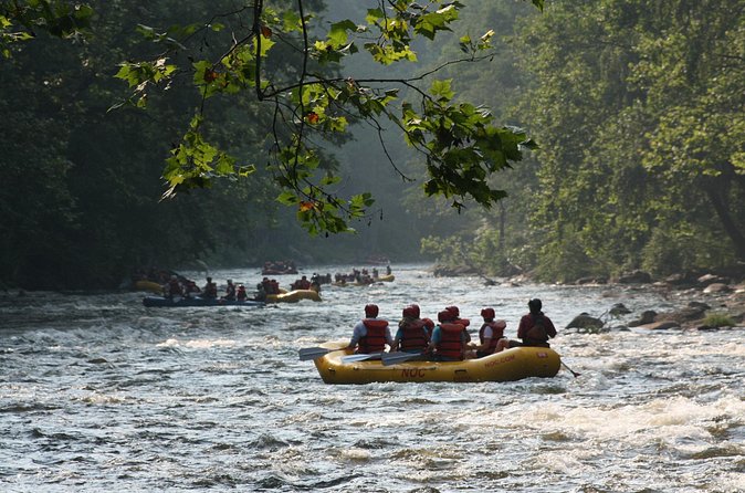 Upper Pigeon River Whitewater Rafting - From NOC Pigeon Outpost to the River