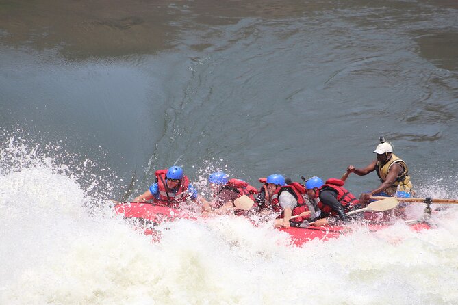 Victoria Falls: Whitewater Rafting + Chobe Safari Combo - How the two days compare