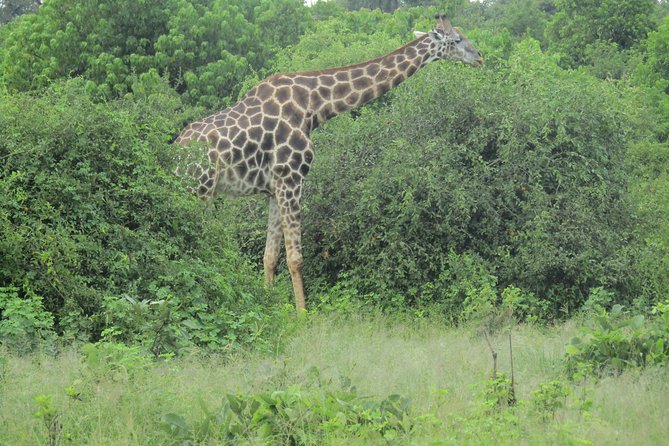 Victoria Falls: Whitewater Rafting + Chobe Safari Combo - Guides, safety, and the human side