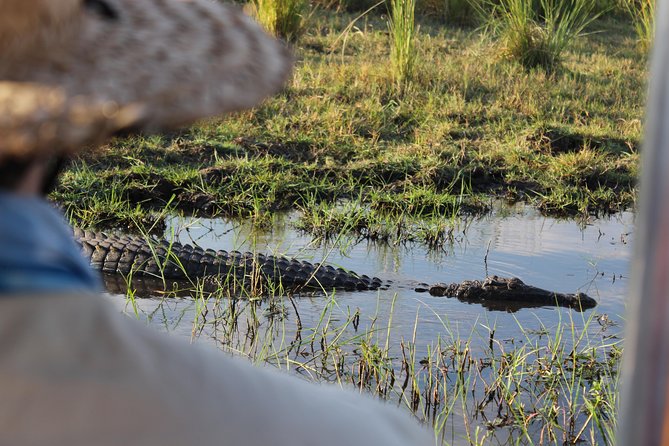 Victoria Falls: Whitewater Rafting + Chobe Safari Combo - Who should book these two days?