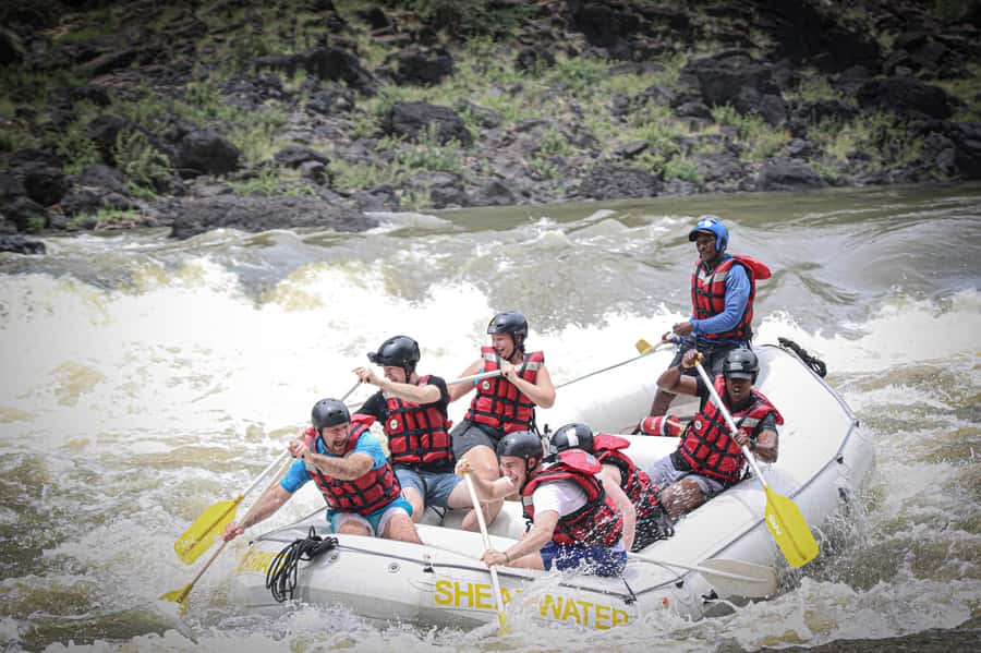 Victoria Falls: Whitewater Rafting Experience - Who should book this Zambezi adventure?