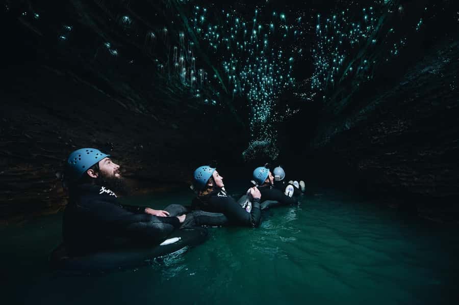 Waitomo Caves: Labyrinth Black Water Rafting Experience - Emerging into the Waitomo forest