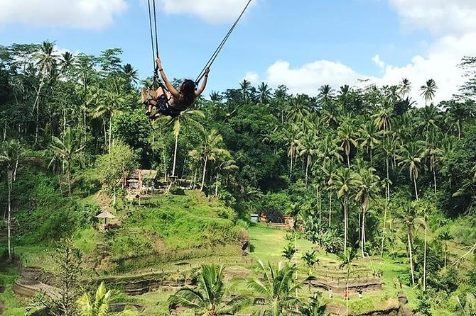Water Rafting adventure with Jungle Swing & rice terraces - What this eight-hour Bali day is really like