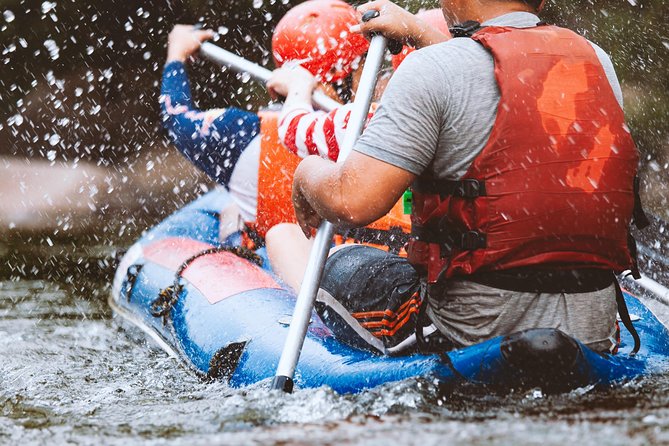 White Water Rafting at Kitulgala - Day Tour From Colombo - Kitulgala’s rainforest setting